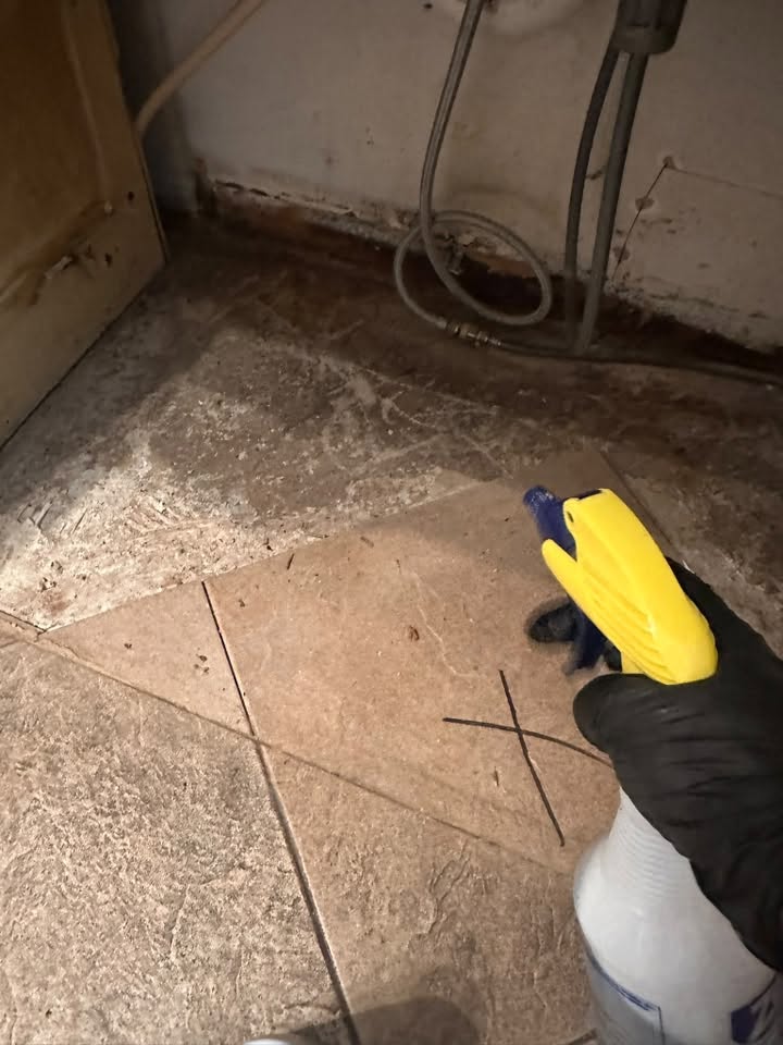 Surface sanitizing and disinfecting treatment applied to a tiled floor after mold removal in a Bellingham, WA home