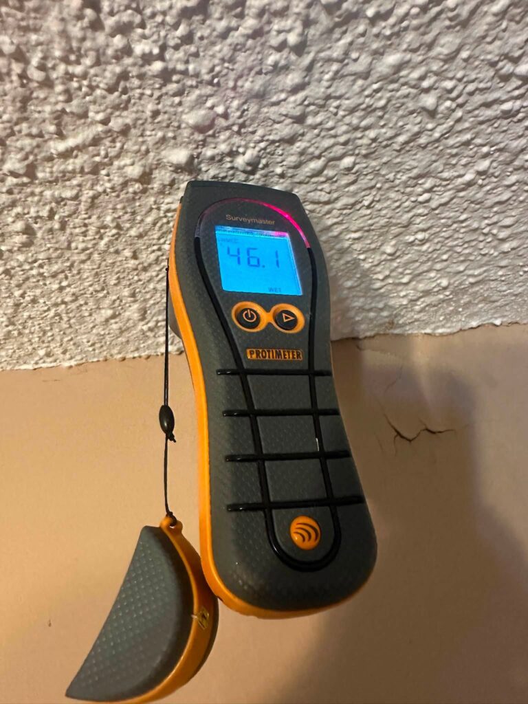 Protimeter moisture meter reading 46.1% on a water-damaged wall in Bellingham home
