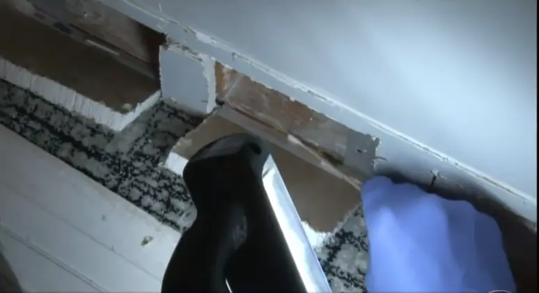 Mold remediation and mold inspection in Bellingham WA