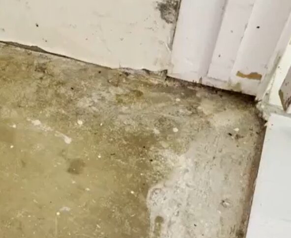 Basement floor with standing water residue and mold staining after a sump pump failure in a Bellingham home.