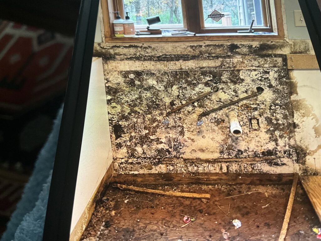 Advanced black mold growth beneath a kitchen window after a long-term untreated leak in a Bellingham, WA home