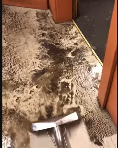 Sewage backup residue and staining on hardwood floor before professional cleanup
